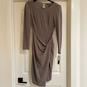 Betsy Adam’s Women Metallic Dress Size 6